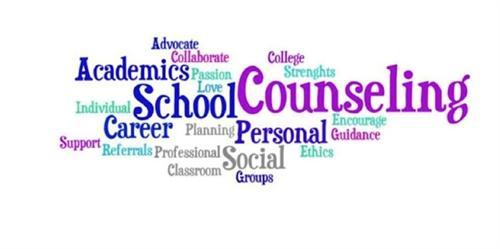 School Counselors